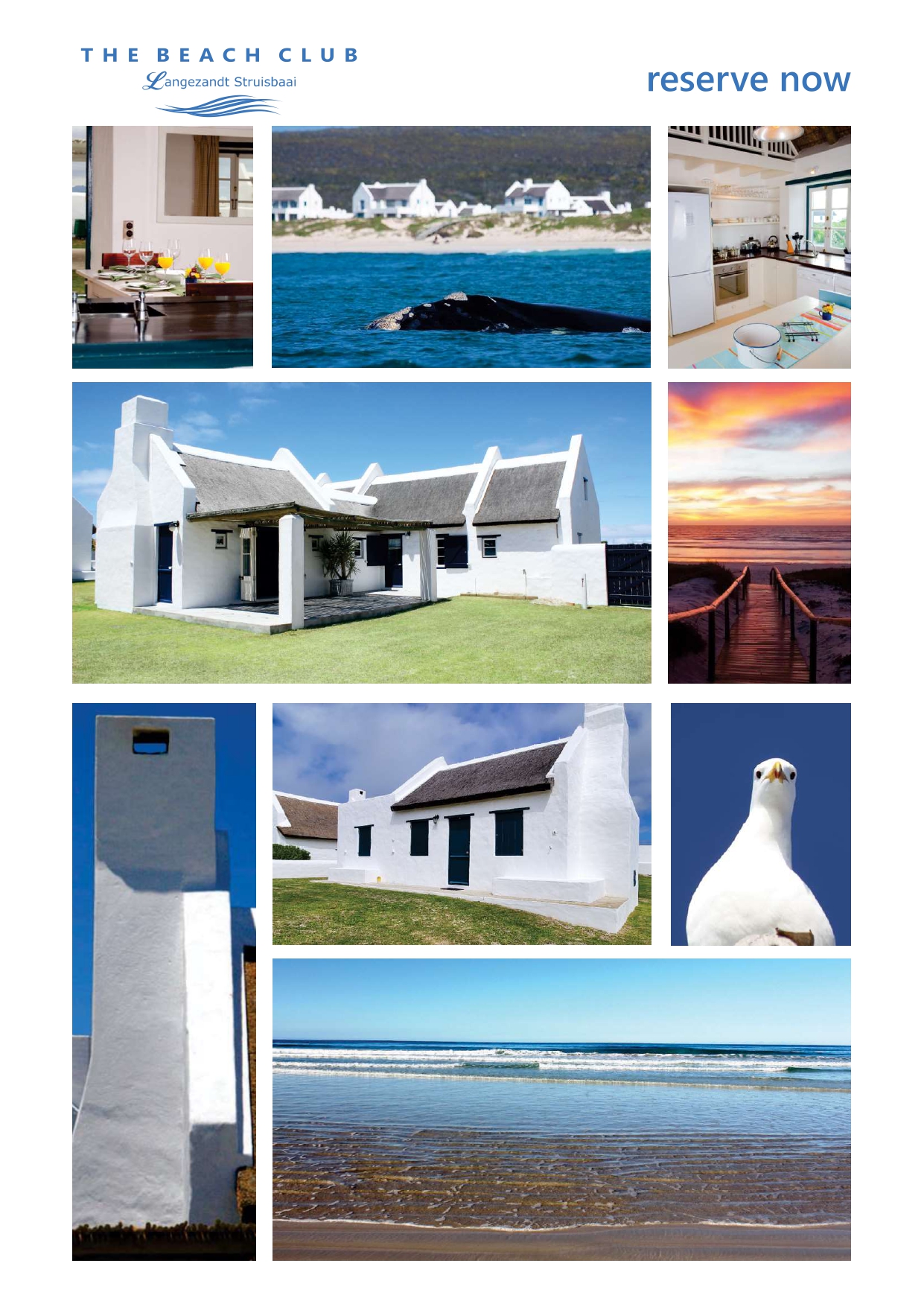The Beach Club Brochure