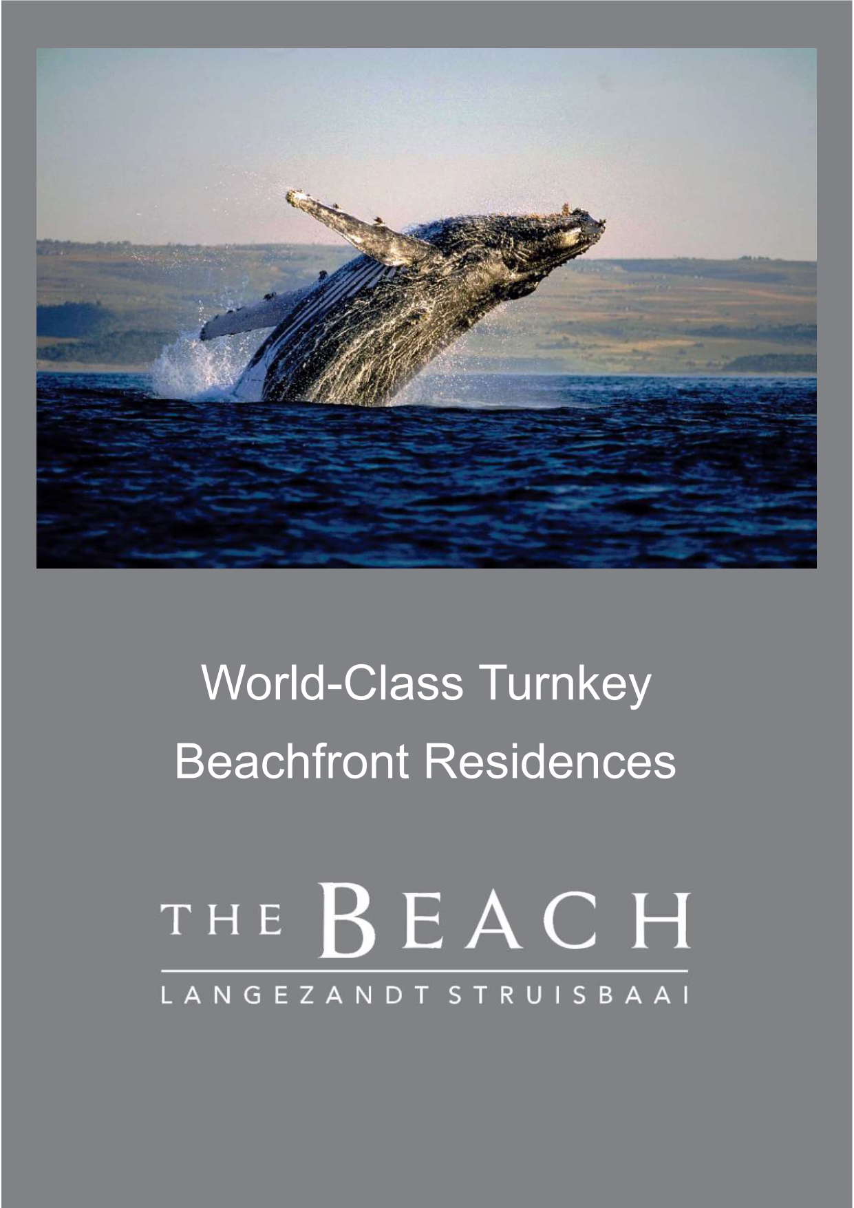 The Beach Brochure